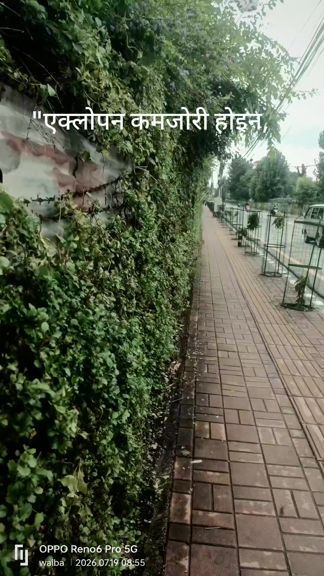 @waibasunny