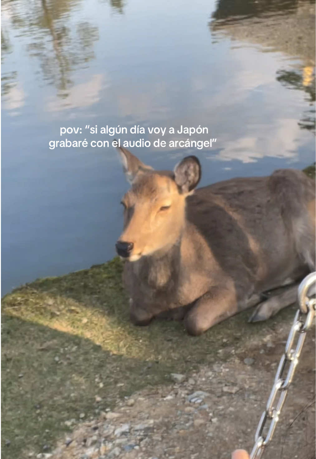 @laura