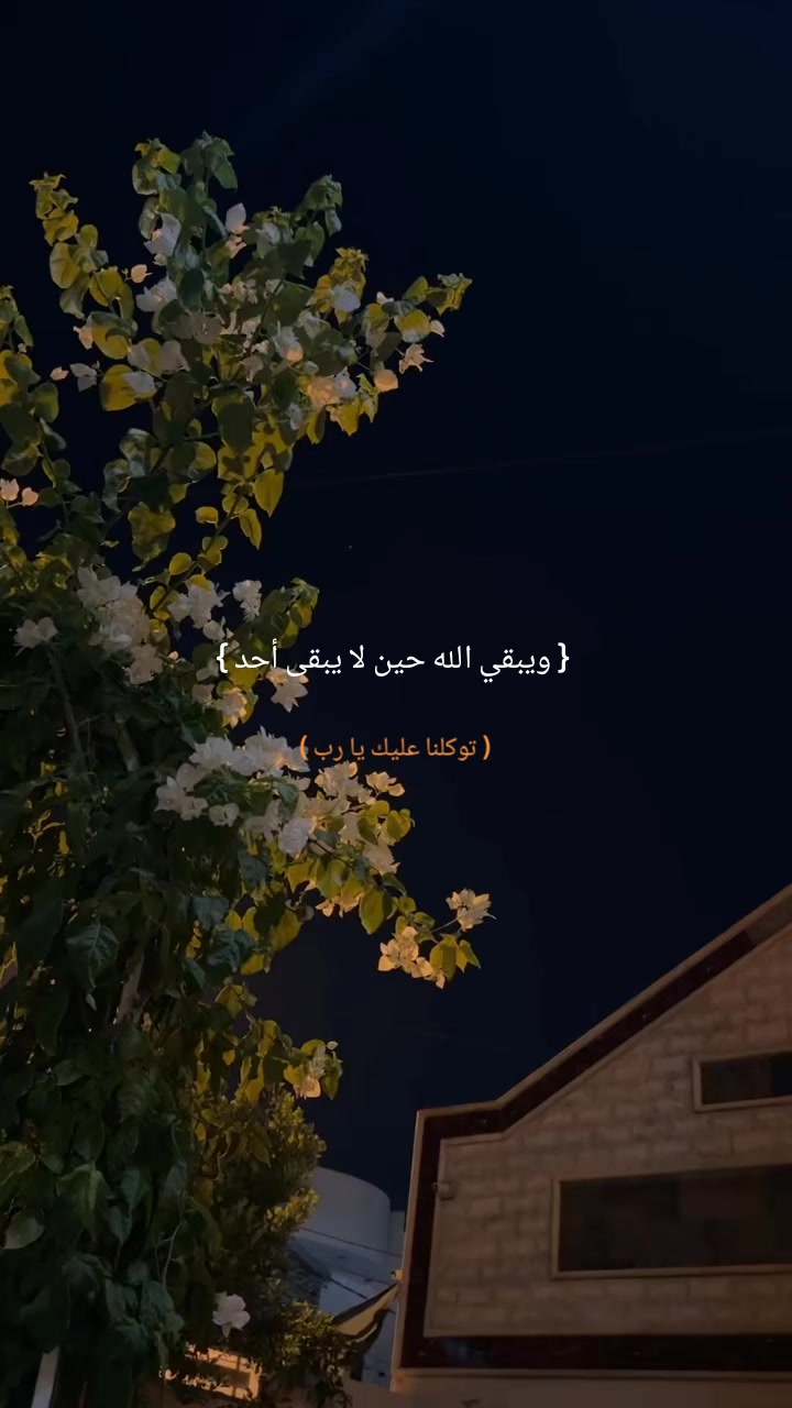 @karim hegazy