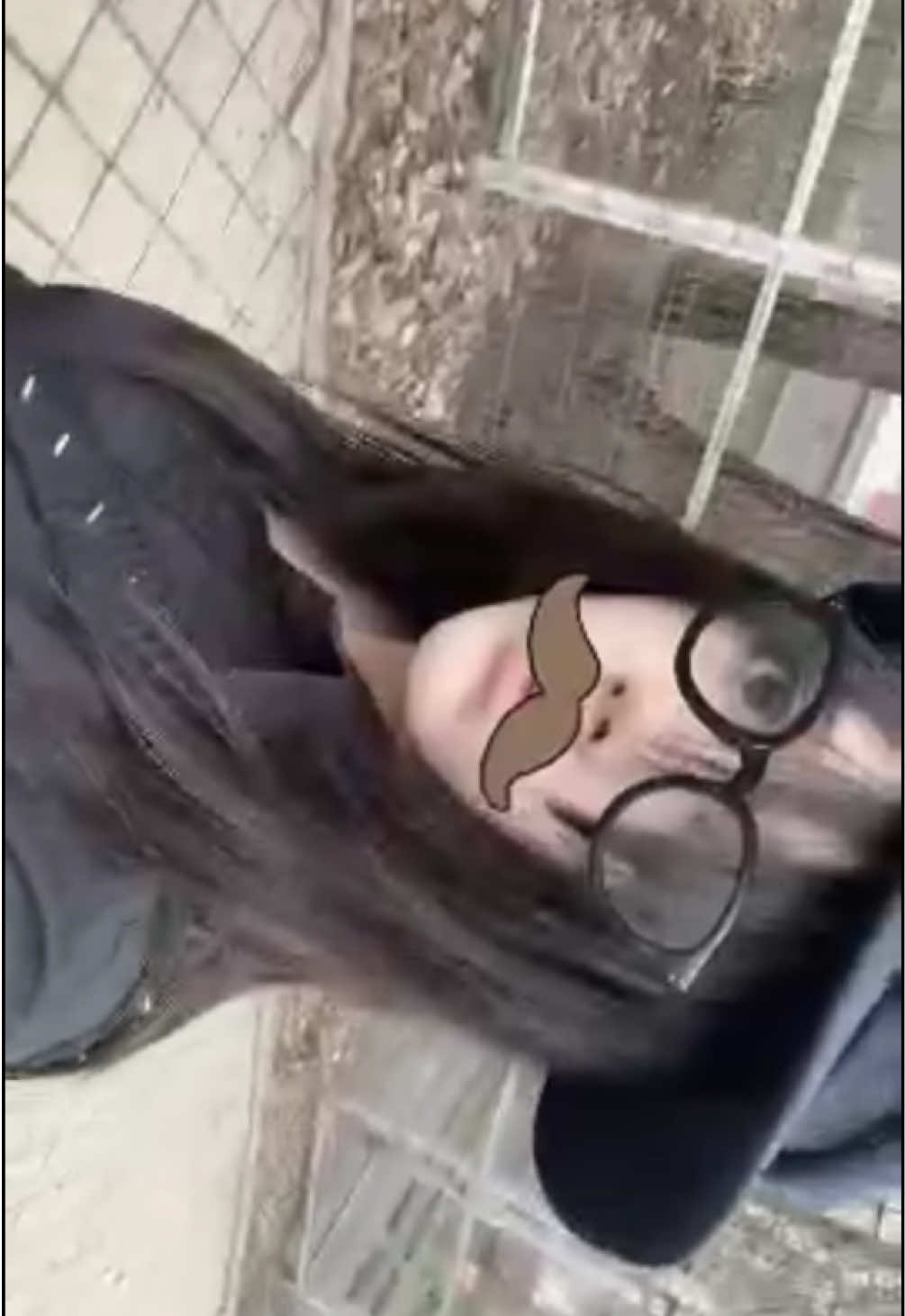 @whyrustranglingme