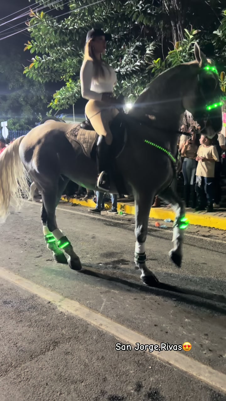 @Cindy Álvarez