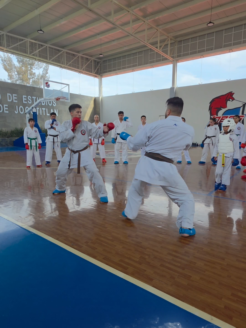 @Karate LSDG