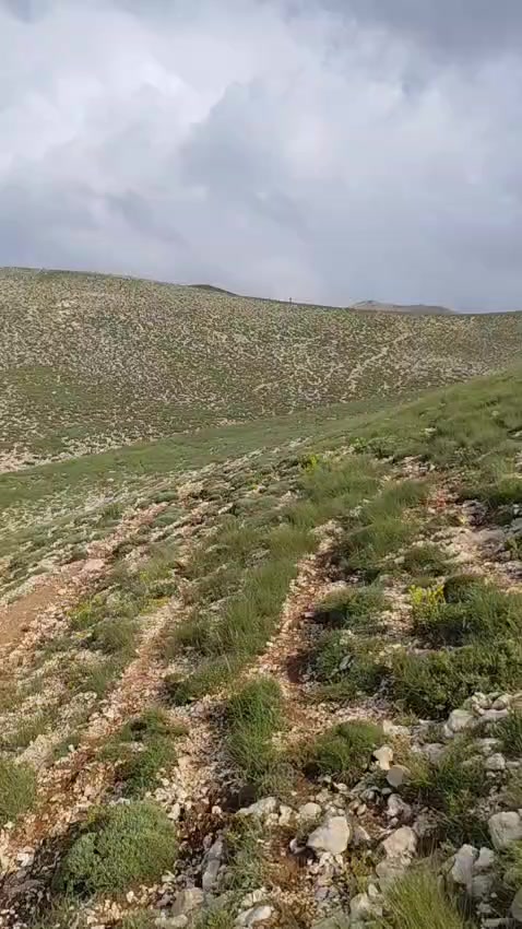 @Nazif Geriş