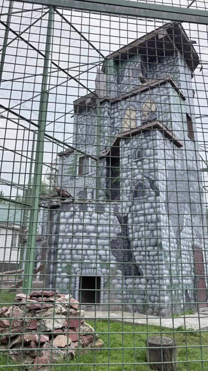 @Климова ❤️