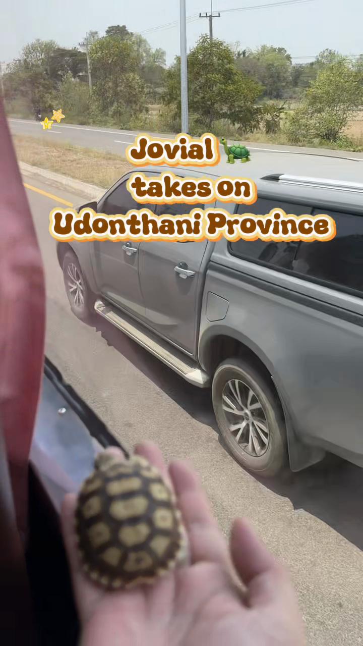 @Jovial Aberasturi