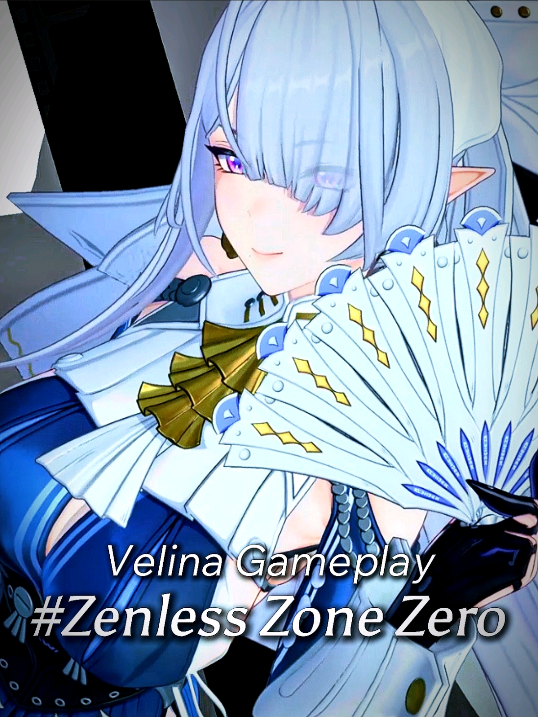 @Y&bull;Zeinx