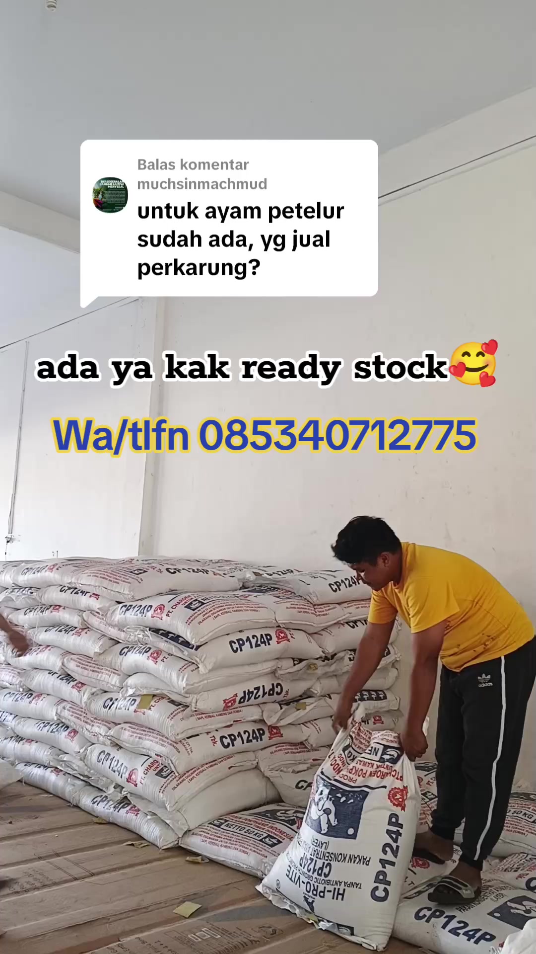 @BintangpsTelaga