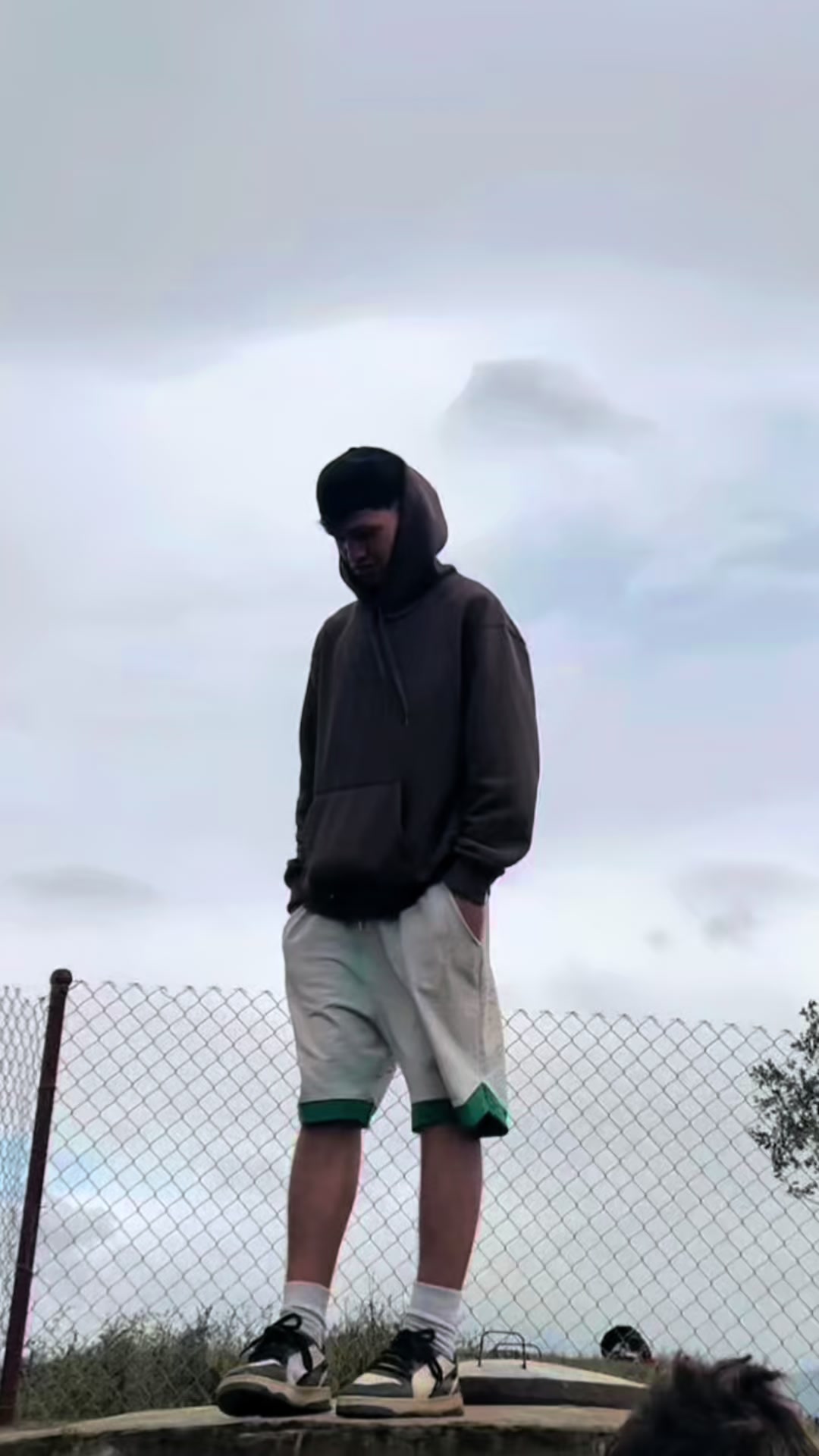 @Ceo