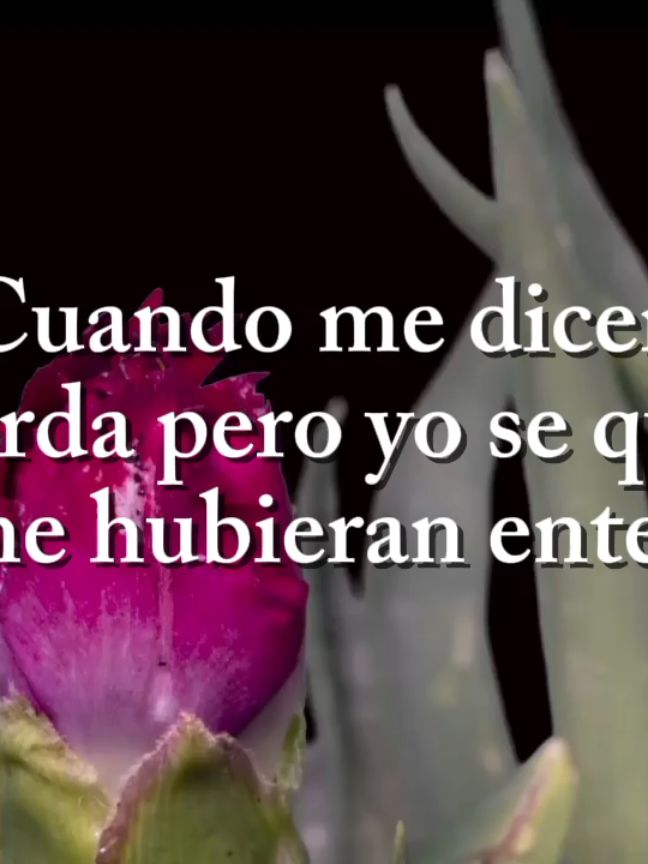 @💜𝟒𝓔♡𝓔𝓡💜