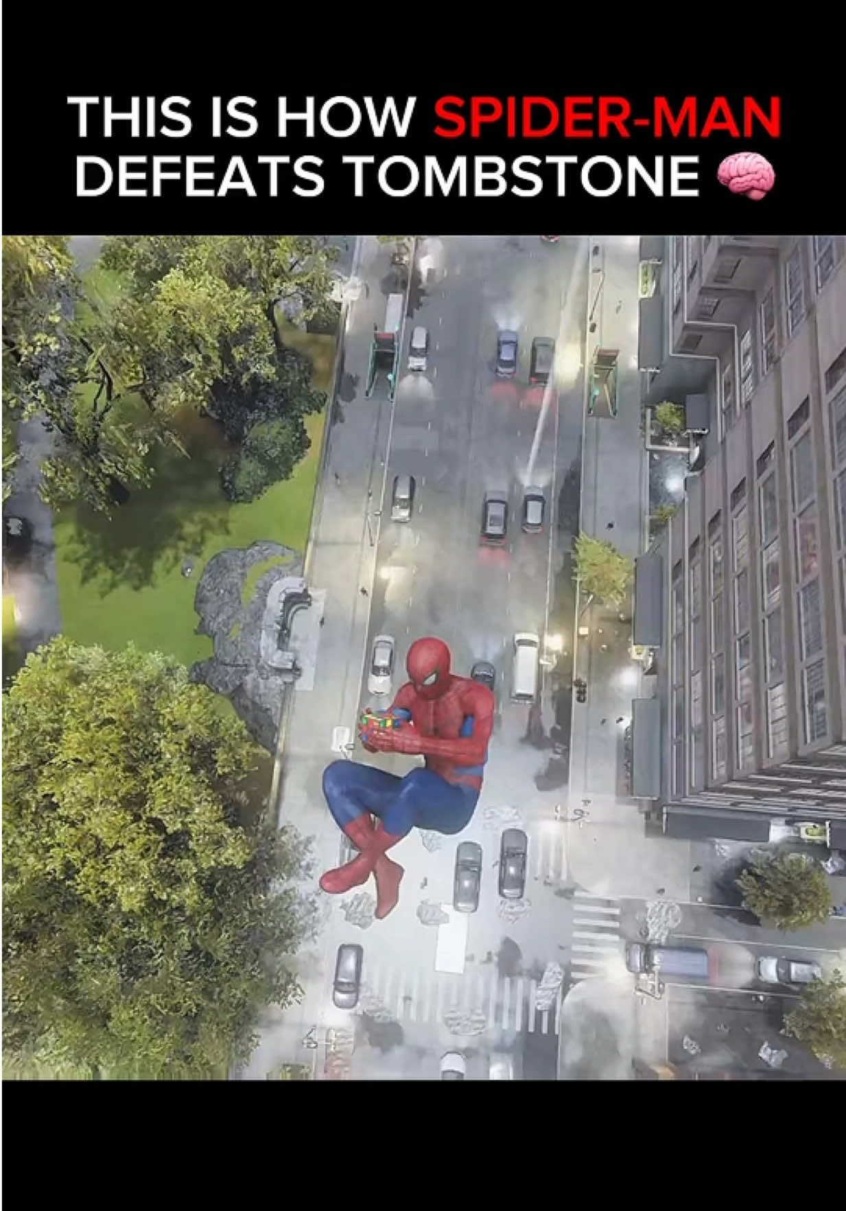 @Spidey Shorts