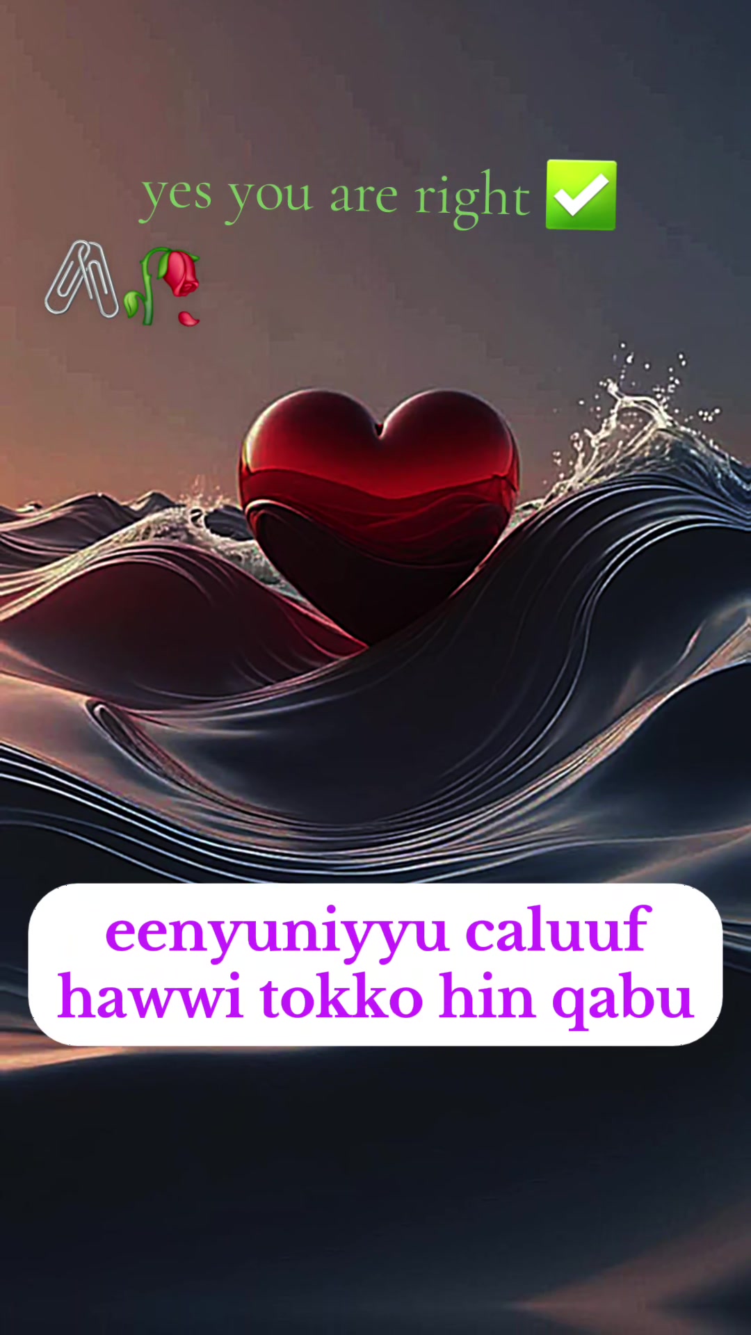 @waan ofii 667🦋❤️&zwj;🔥👉🌲✅️🌹
