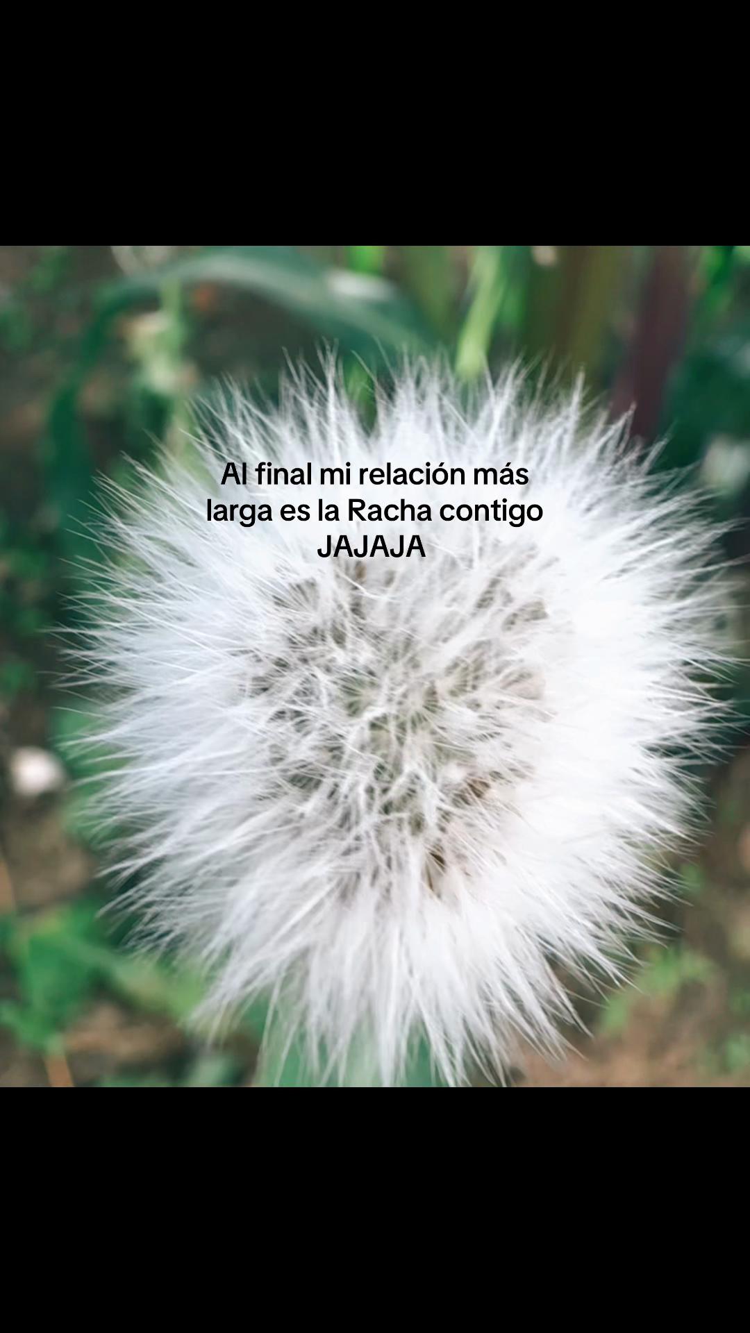 @Mar