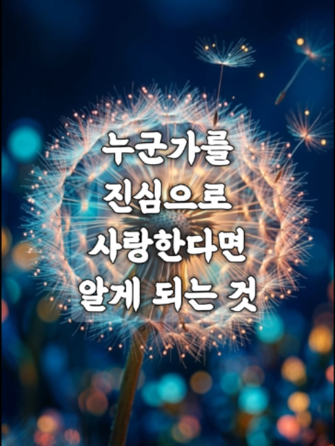@빛의 씨앗