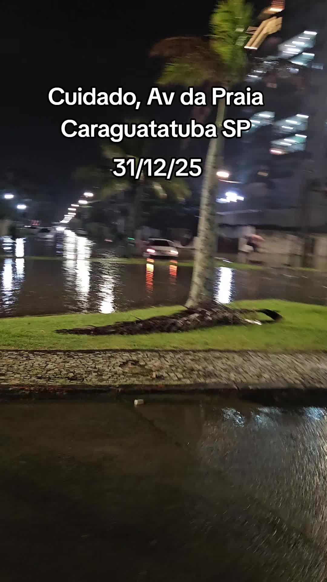 @Thiago Regiani