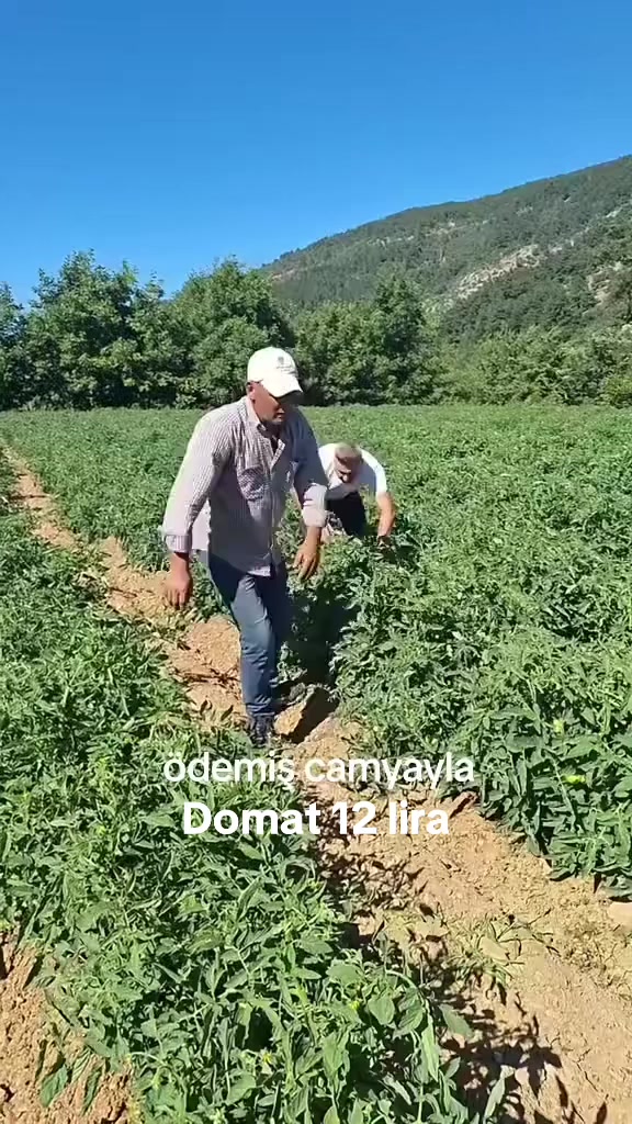 @Çamyayla lı 3535