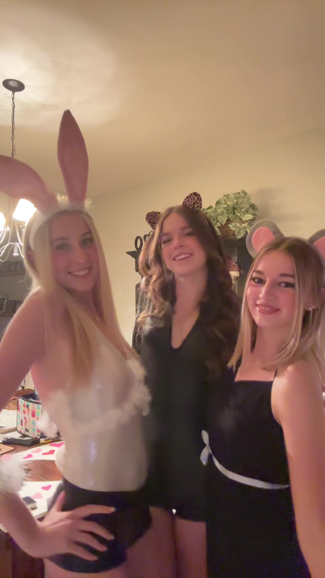 @bella