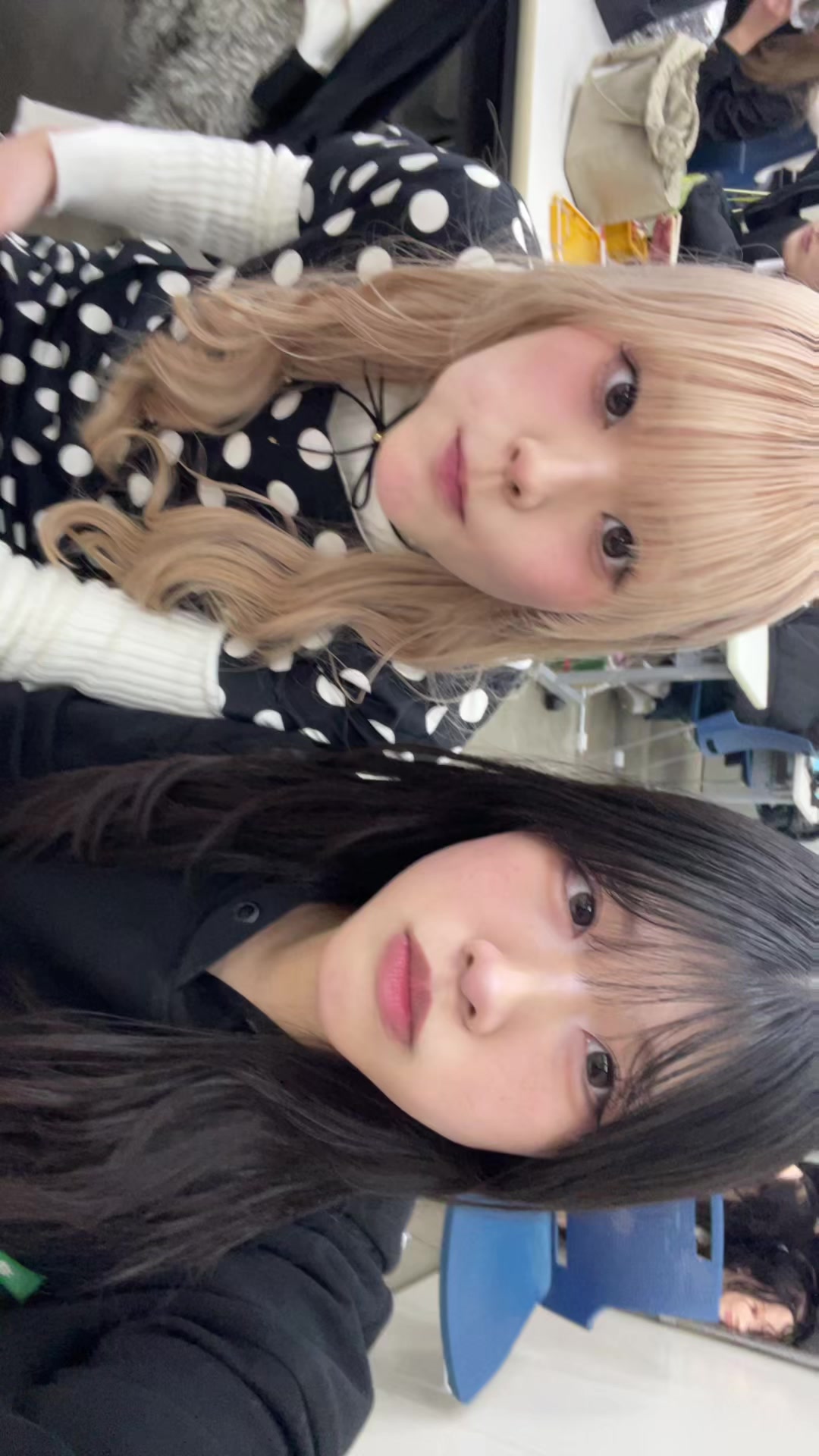 @がじゅまる