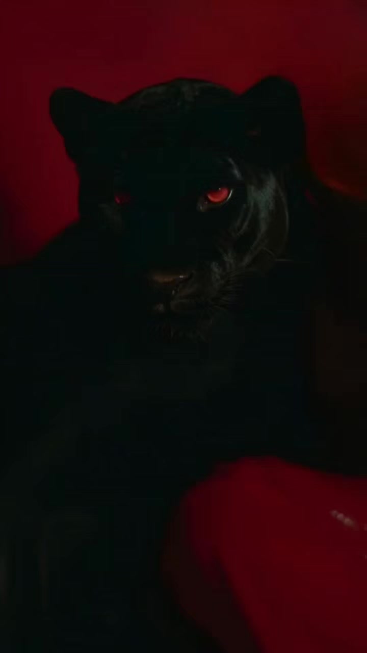 @_L_i_f_e_26