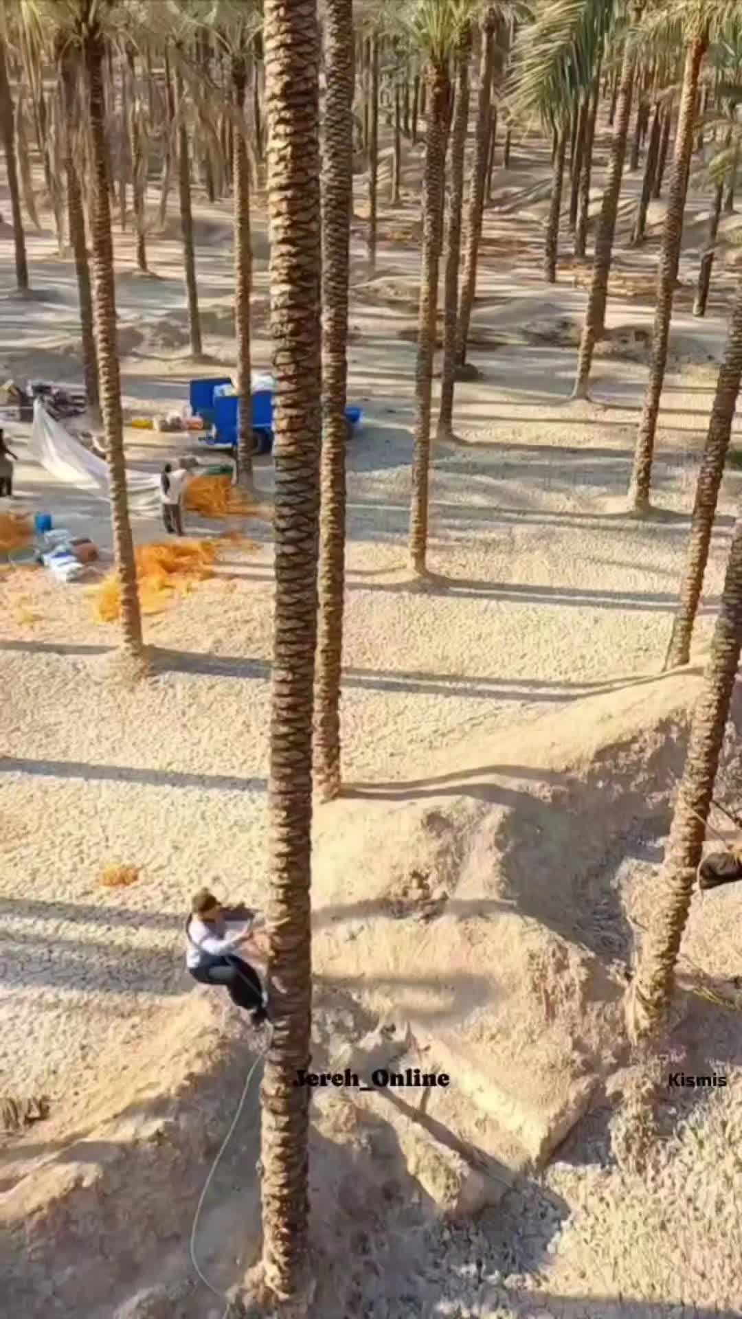 @abdullah.e.t.k