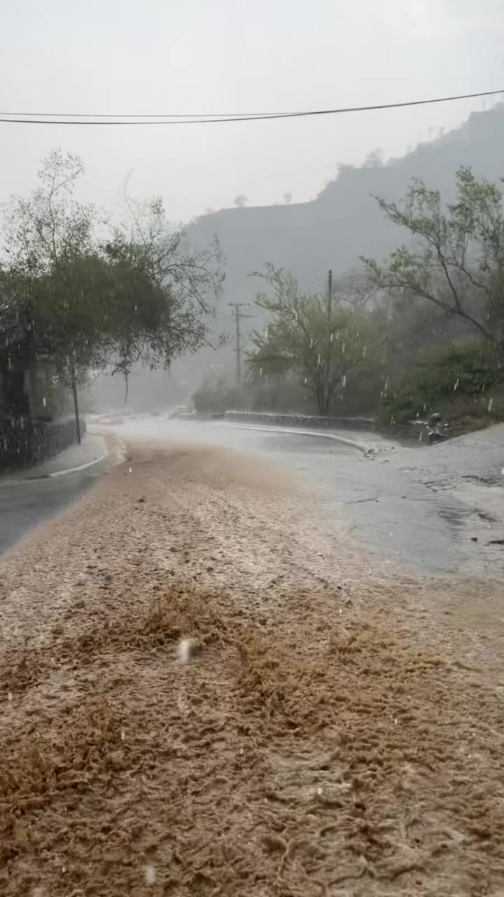 @آبووسآم برق آلَساحل⚡️⛈️