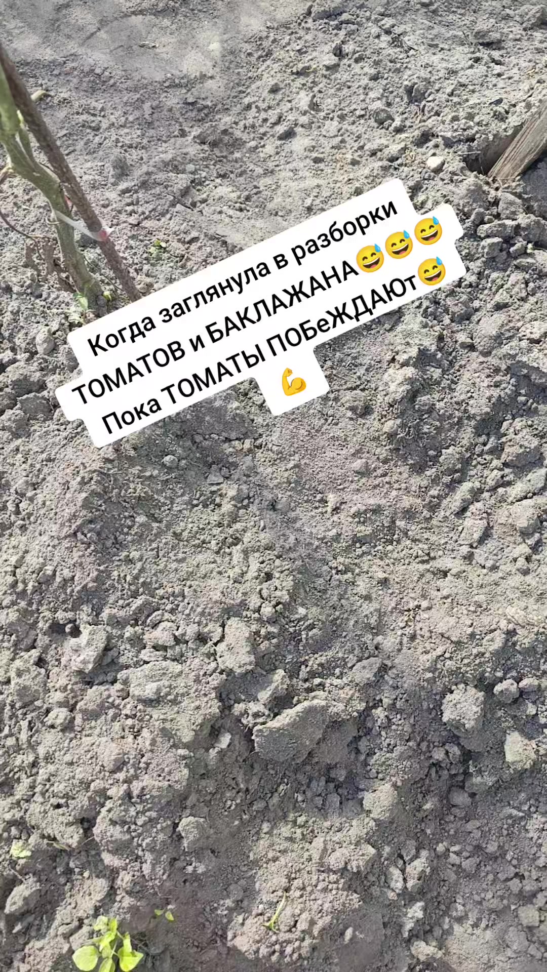 @Оленька