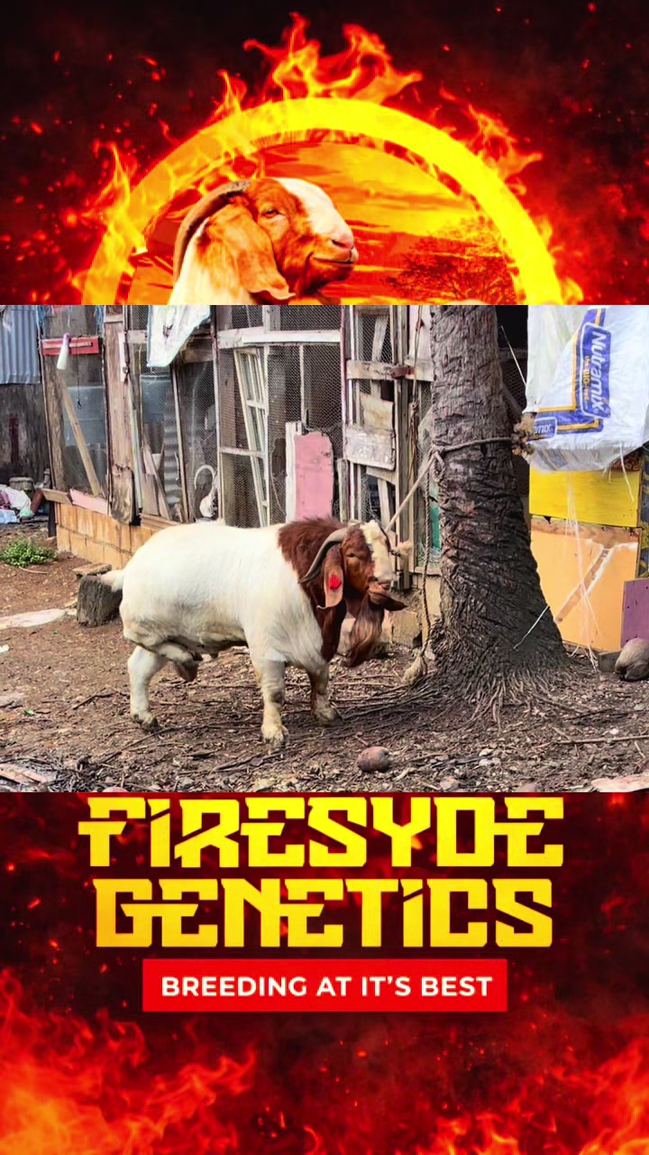@Firesyde Genetics