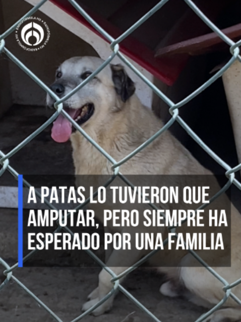 @Radio Fórmula
