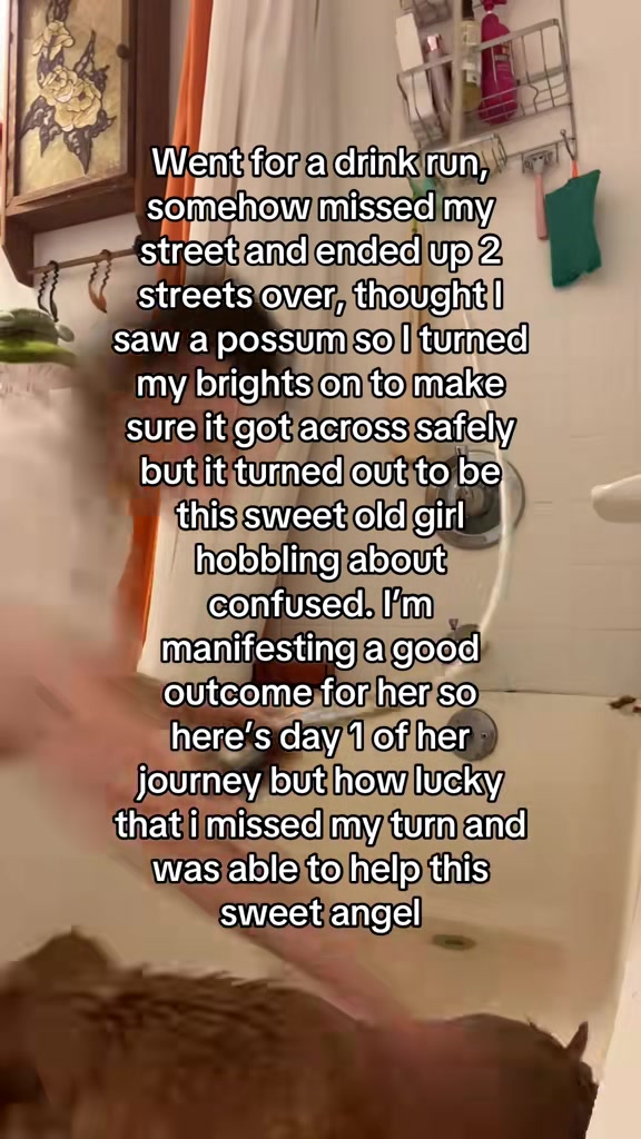 @Jay