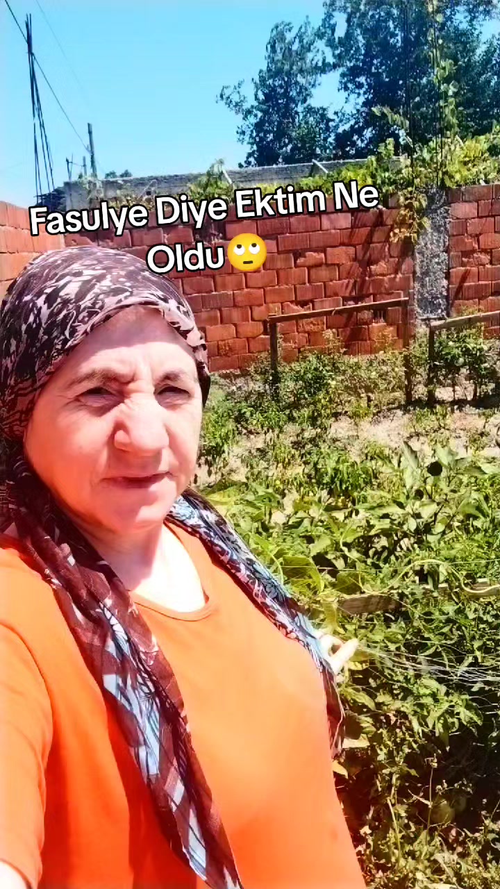 @Nefislezetlitarifler