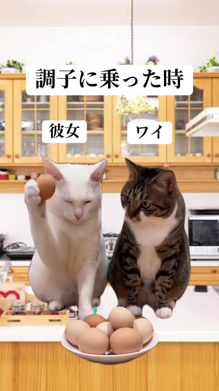 @面白ミーム