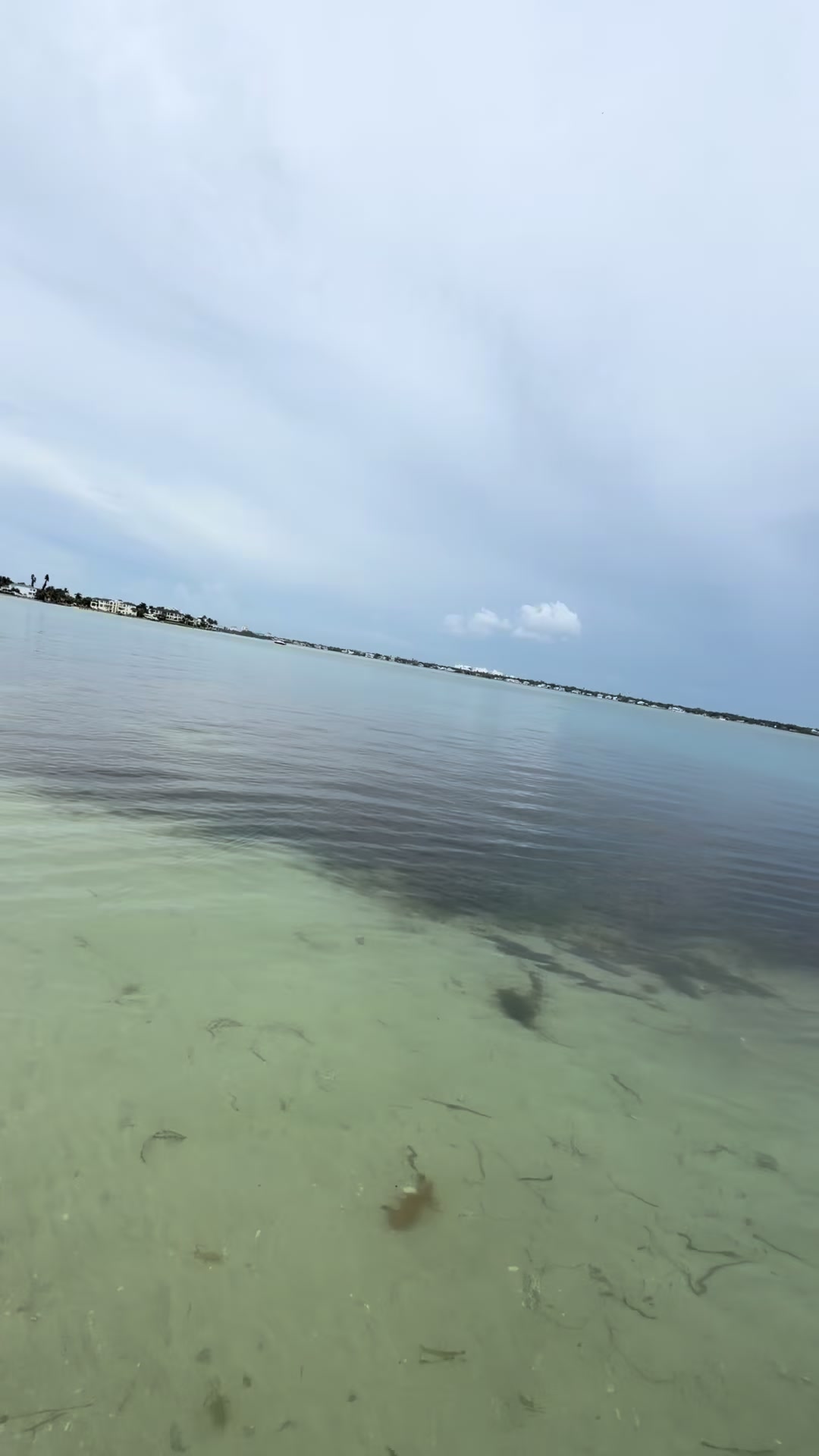 @Gotitfishing