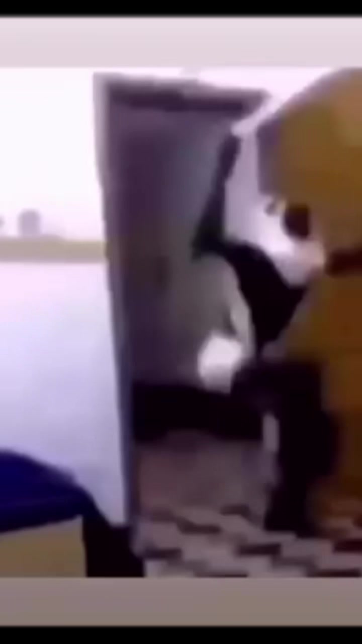 @7Mo