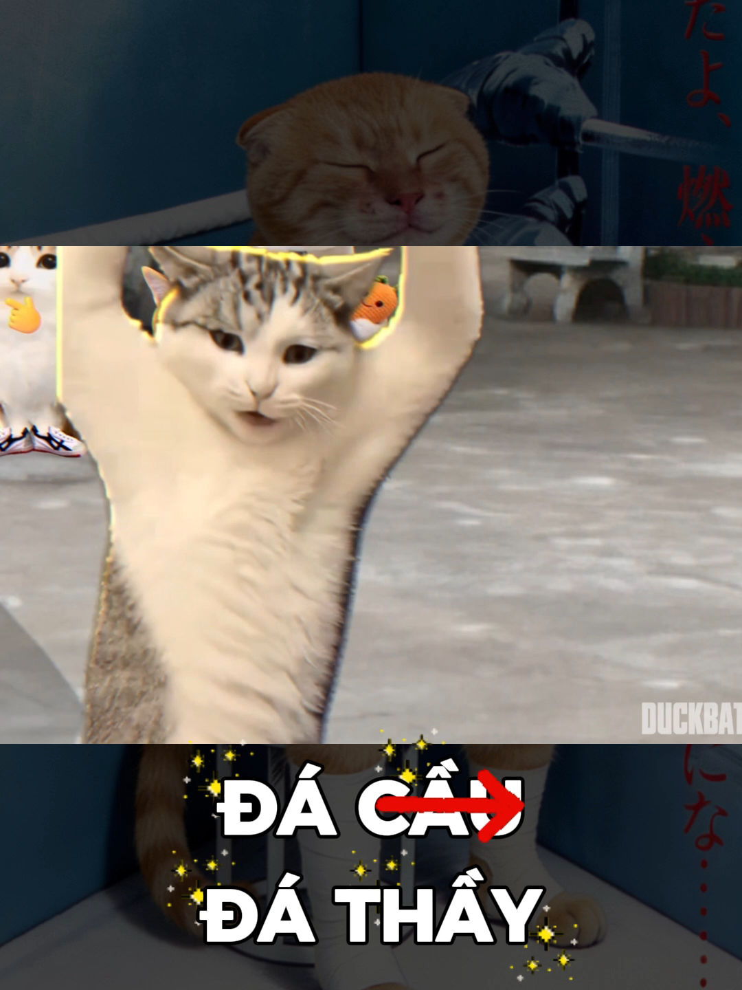 @Duckbatman
