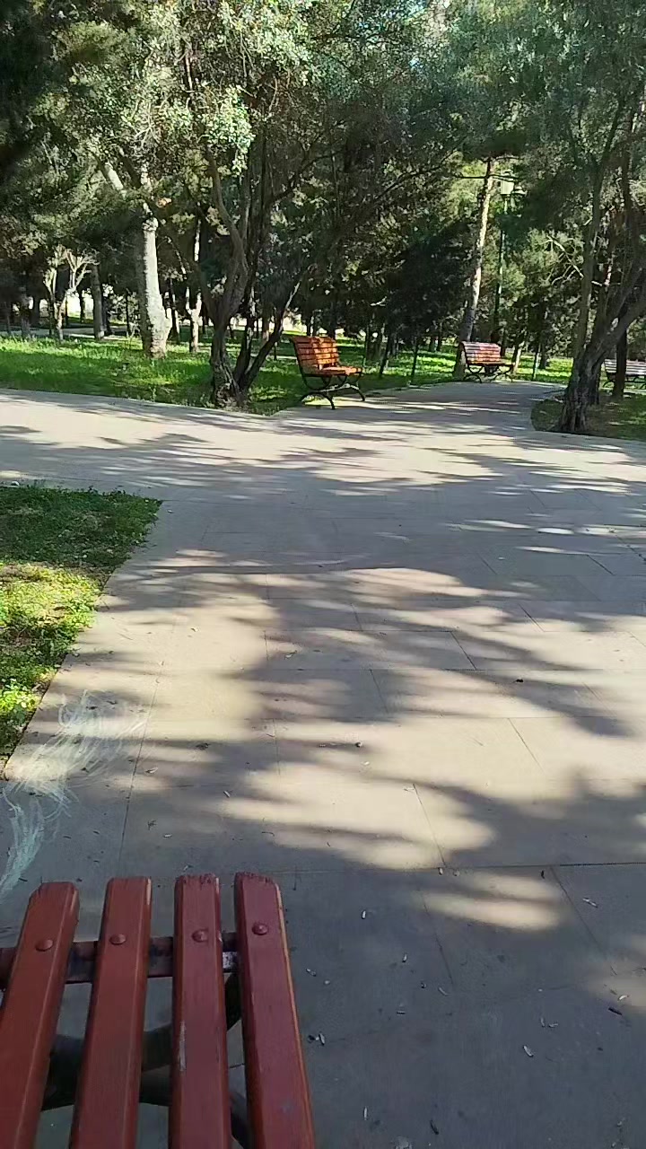 @Teyyub