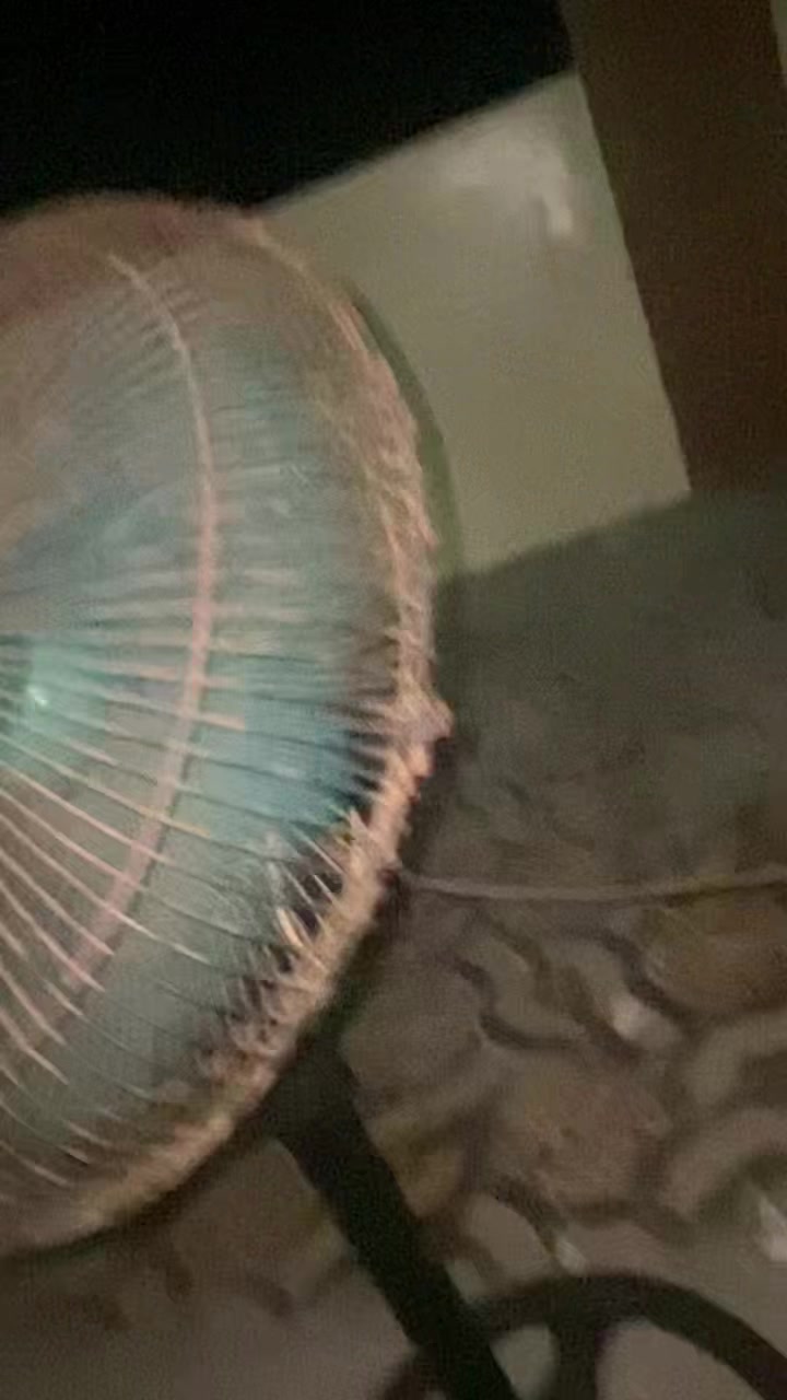 @gemg