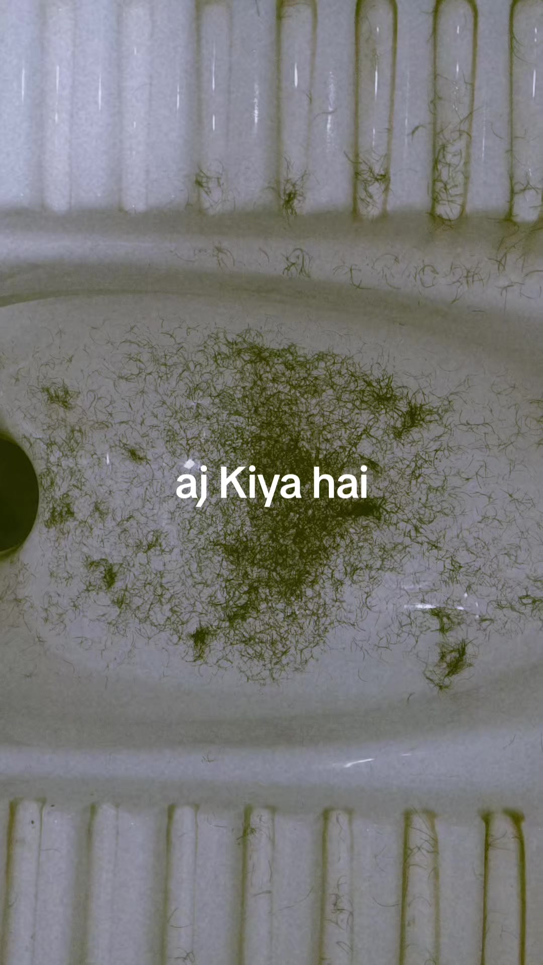 @Areeba  Arain