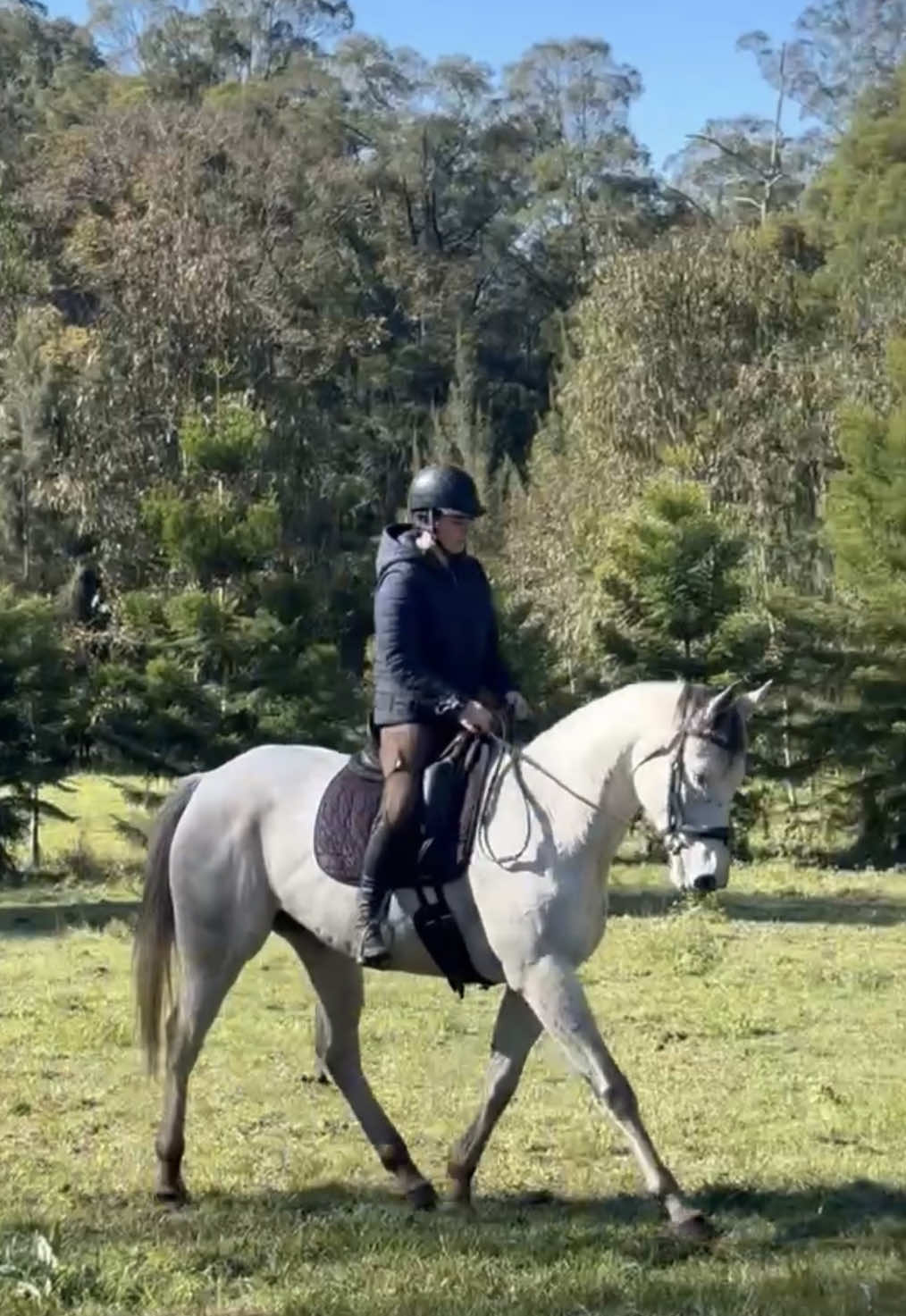 @Double F Performance Horses