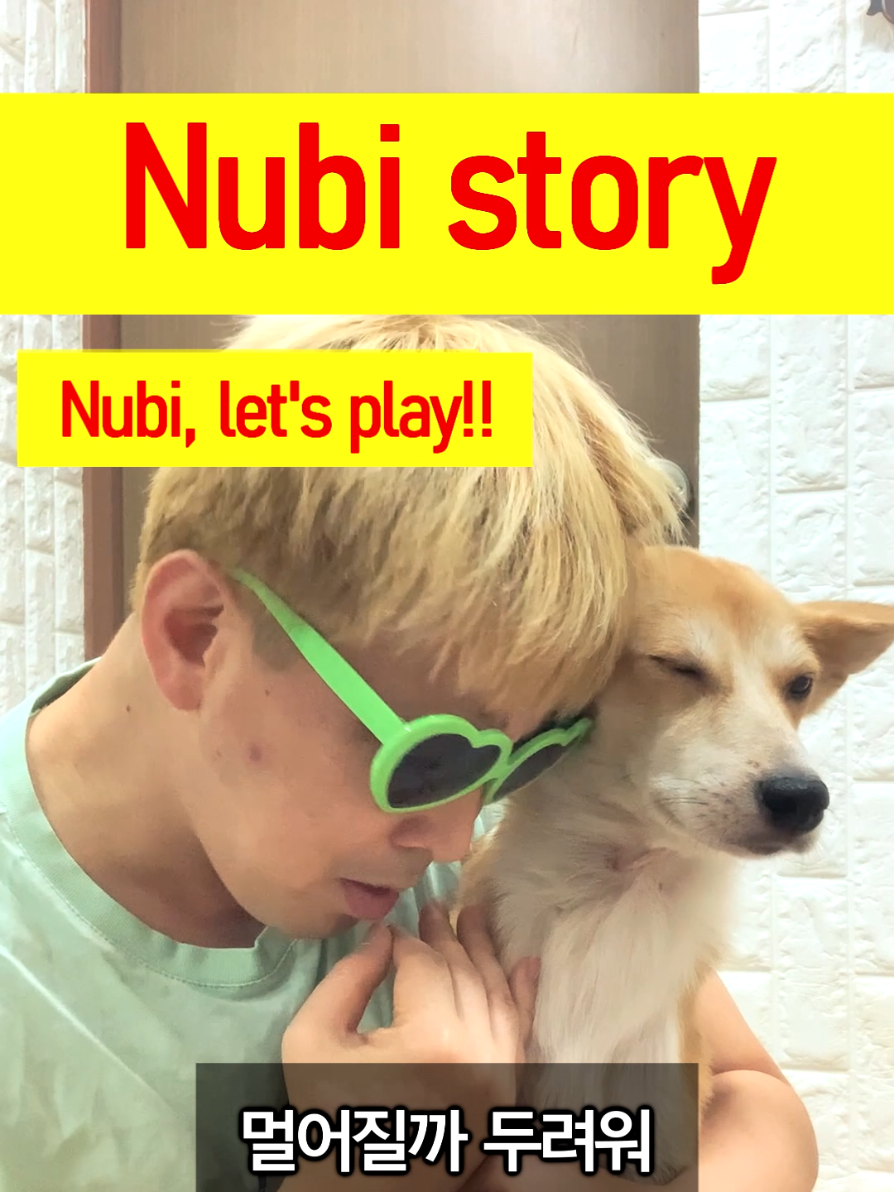 @누비★스토리 Nubi story
