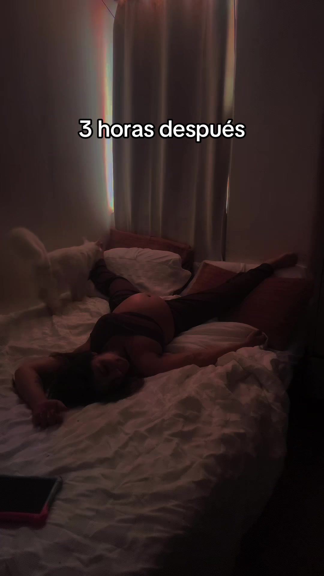 @๐๐Dani Romero
