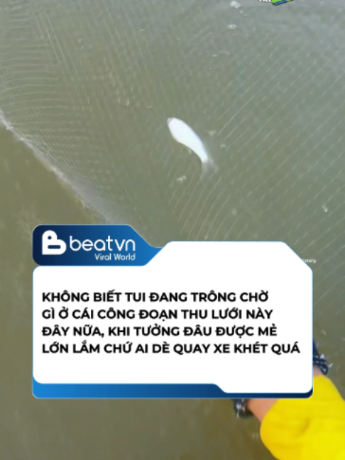 @Beatvn Viral World