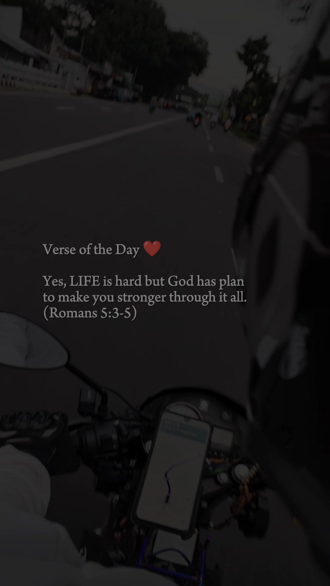 @𝓡𝓸𝓼𝓮𝓮𝓮𝔂𝓪𝓱'?🌷