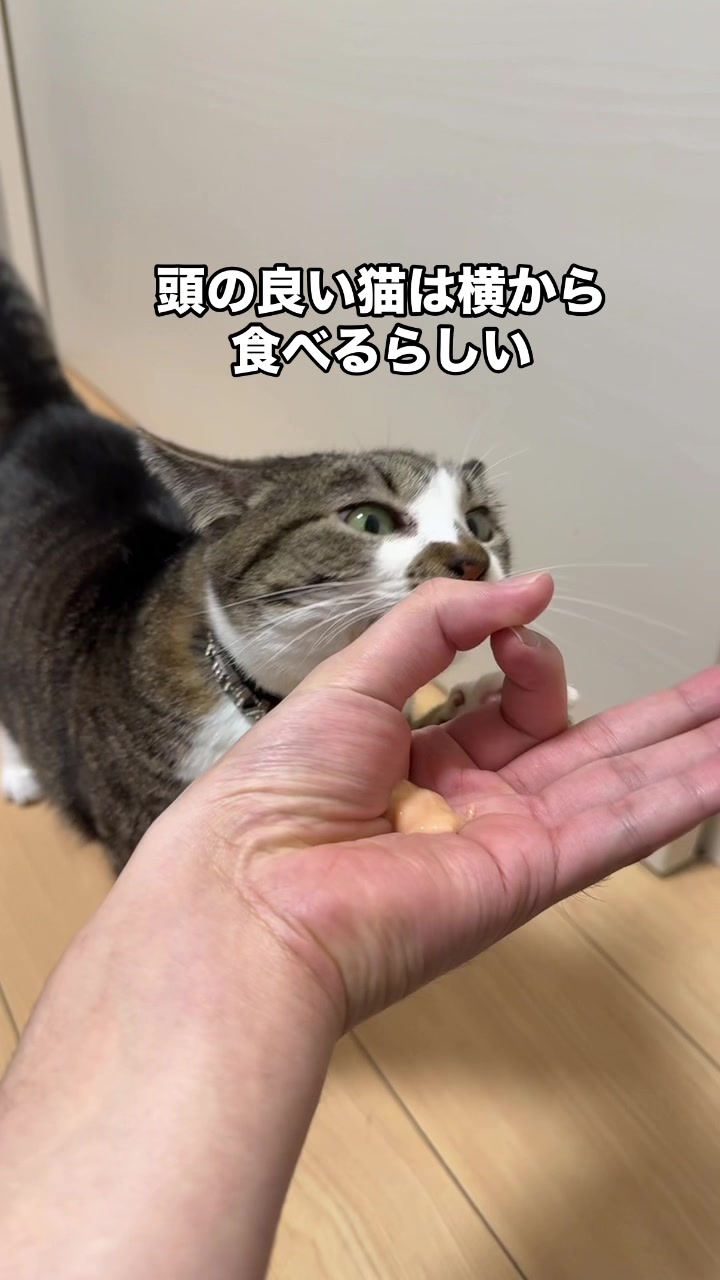 @ใจใใ๐๐ค๐3/28๐