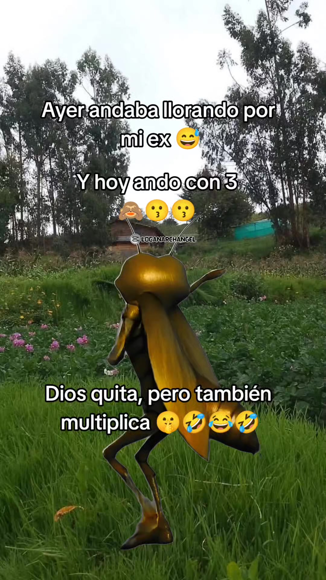 @Fanny Quispe❤️