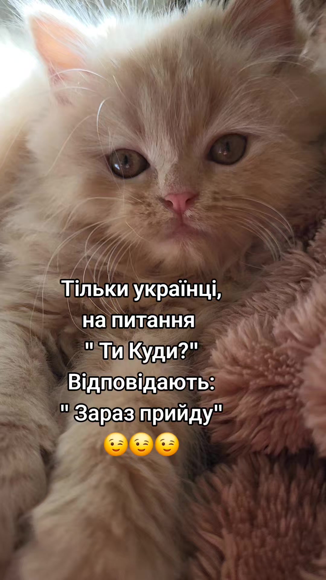 @Zorka