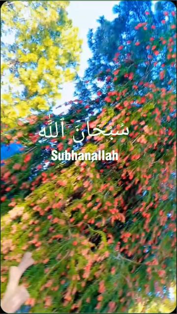 @Abdul sattar khan