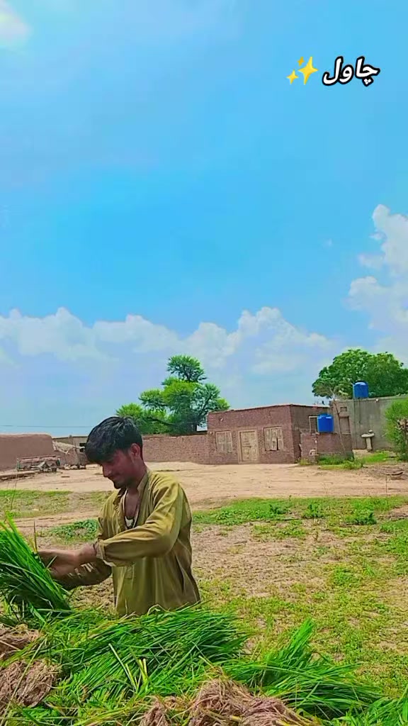 @𖤍 بـلالـــــی گـھنجــیـرا ☠︎