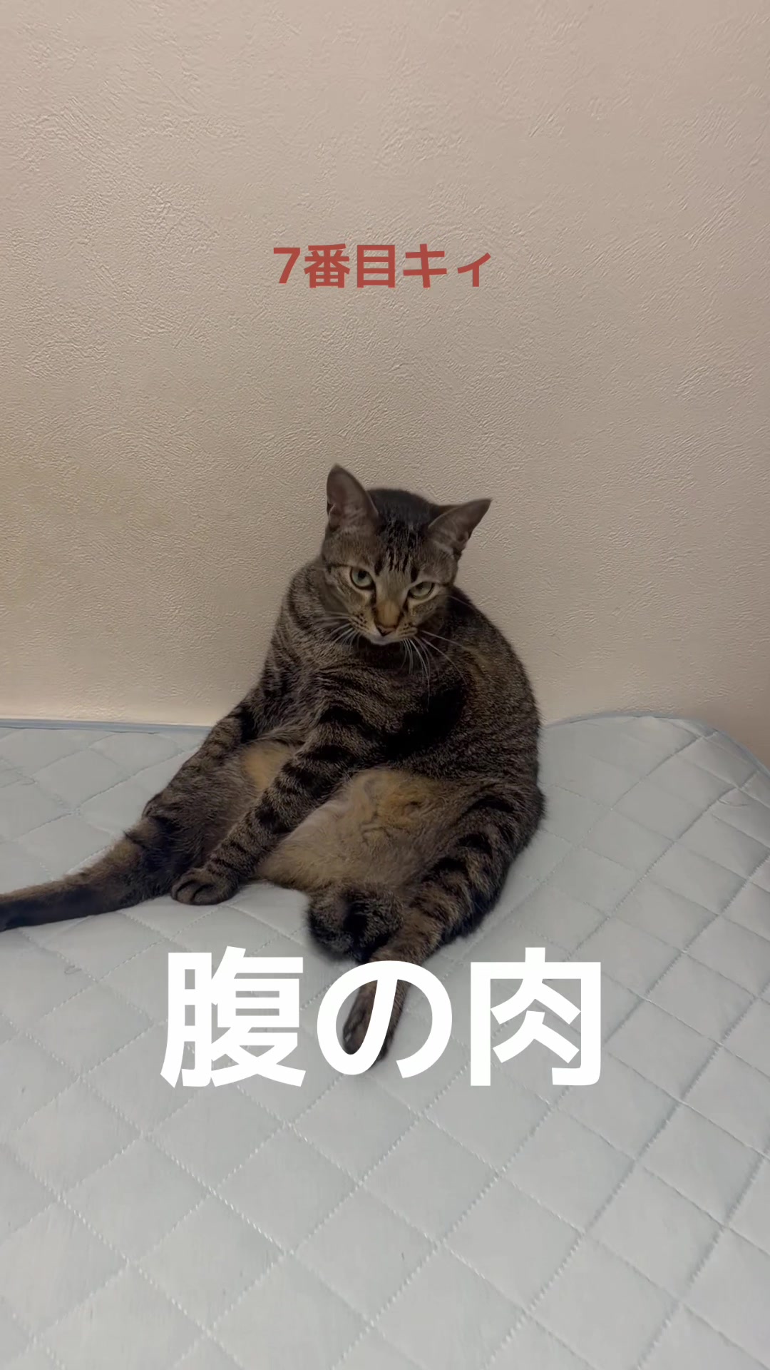 @てるぼー