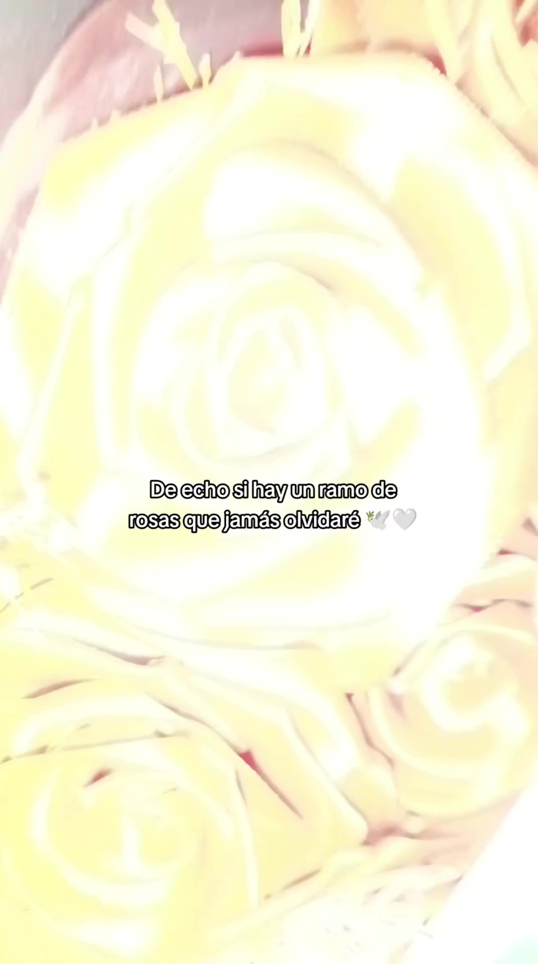 @vaalee 🎀