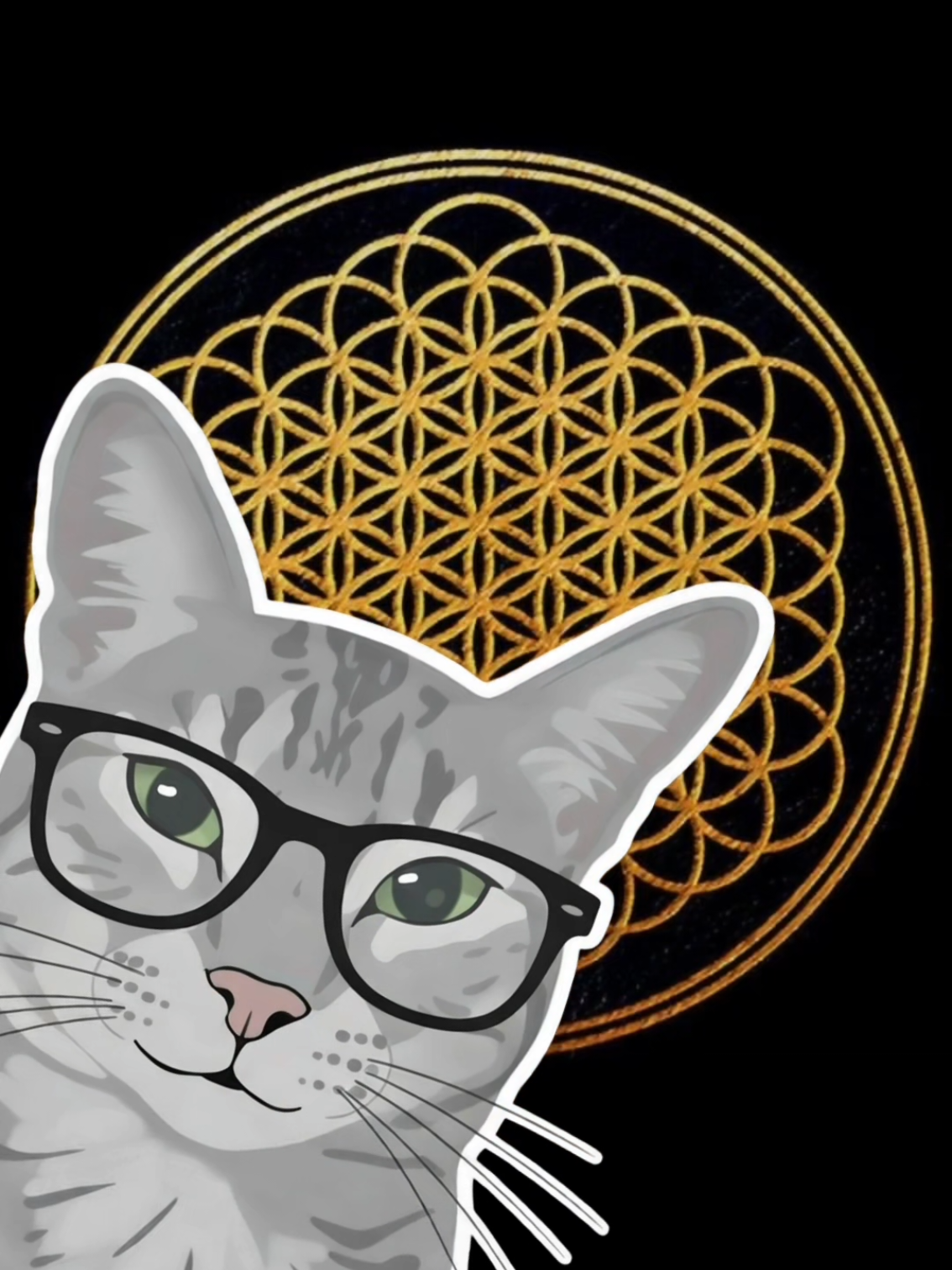 @UN GATO WEY