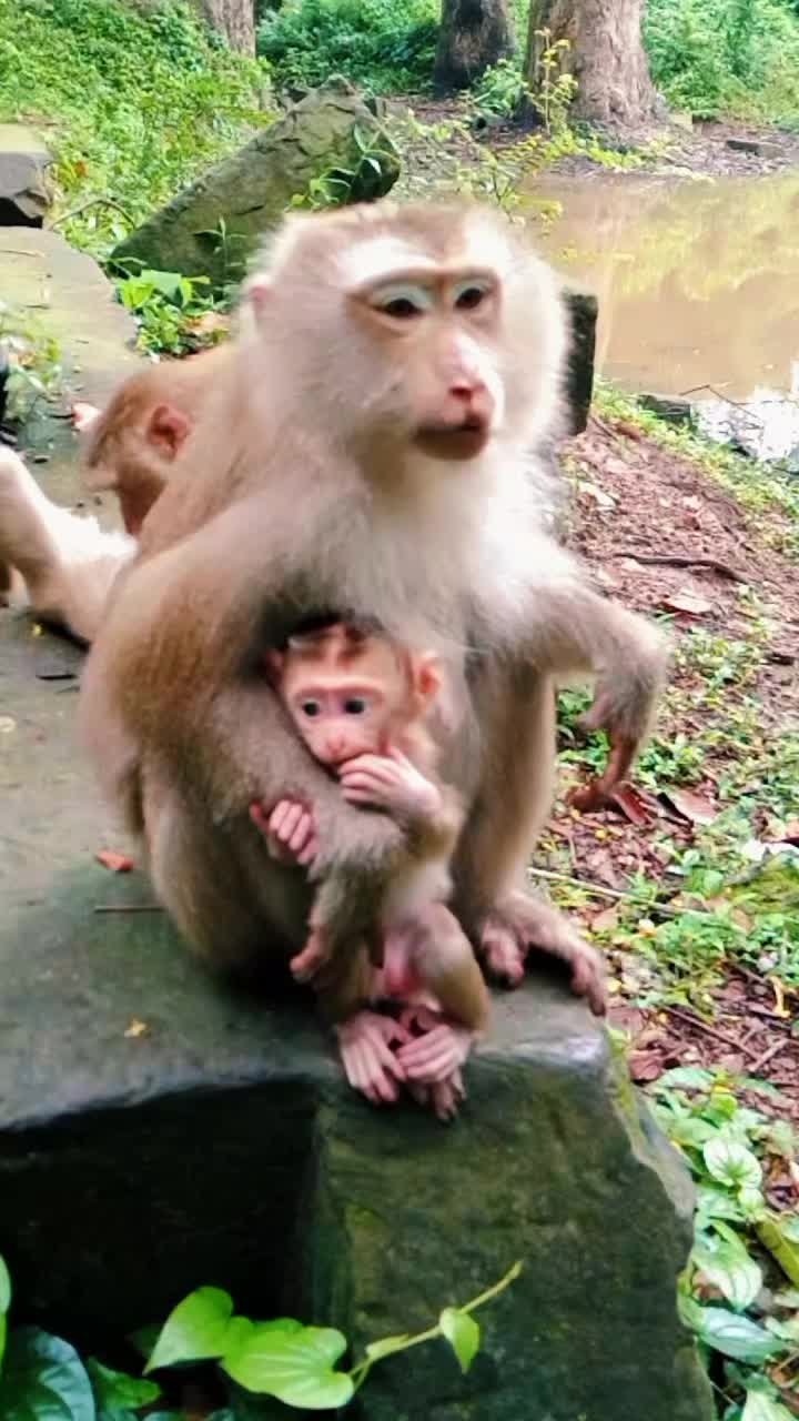 @seng kimhuot